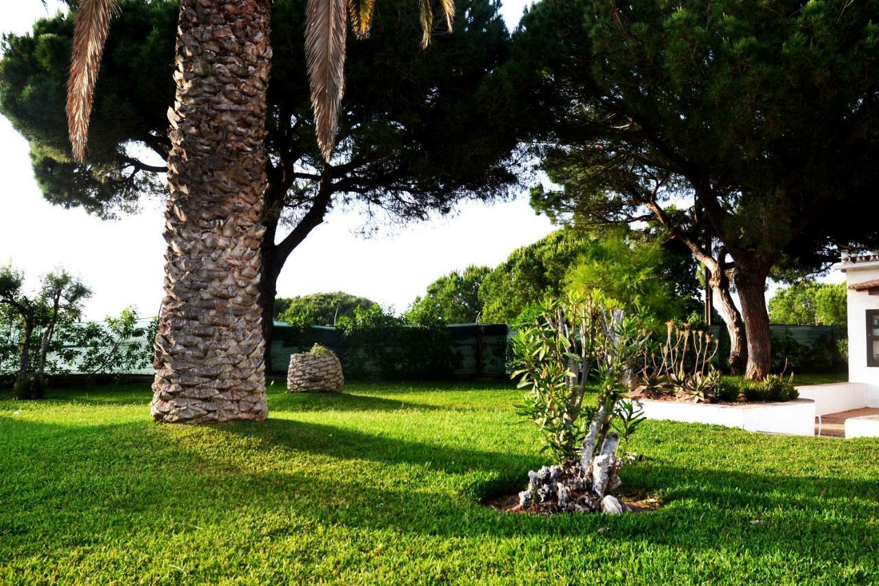 Sailing Studio Acoteias Αλμπουφέιρα Εξωτερικό φωτογραφία